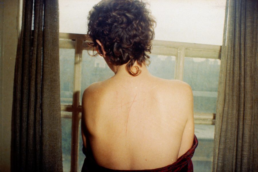 Summer at The Dock: All the Beauty and Bloodshed, photo courtesy of Nan Goldin