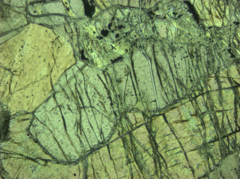 Microscopic photograph of olivine thin section courtesy of Trinity Centre for the Environment, with thanks to Dr. Quentin Crowley.