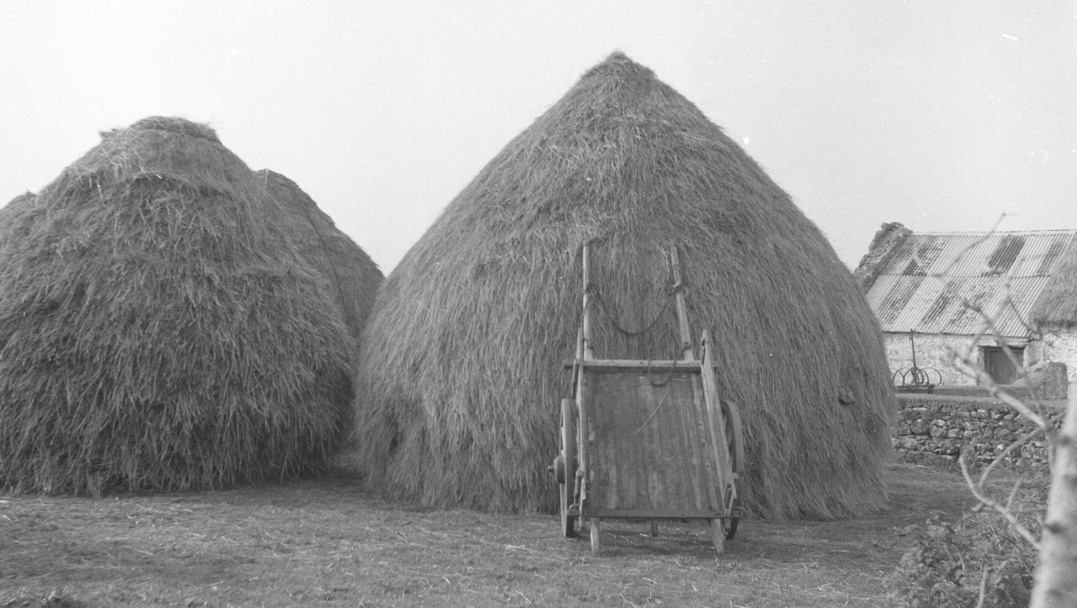 <p>Photo by Leo Corduff, courtesy of the National Folklore Collection.</p>