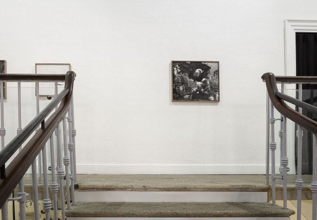 Ailbhe N Bhriain 18 620 430 90 c1