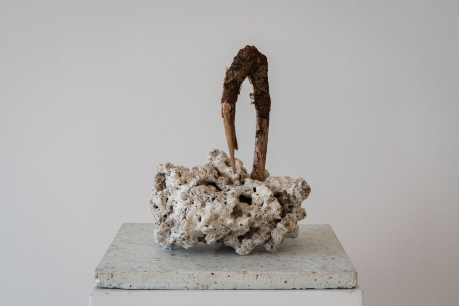 Bennie Reilly Cloud Walk at The Dock.jpg