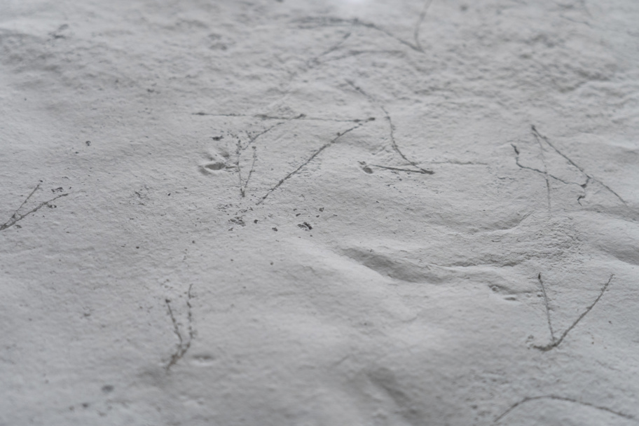 Caline Aoun, <em>Nature’s Time Capsule </em>(detail), 2023. Photo by Youssef Itani.