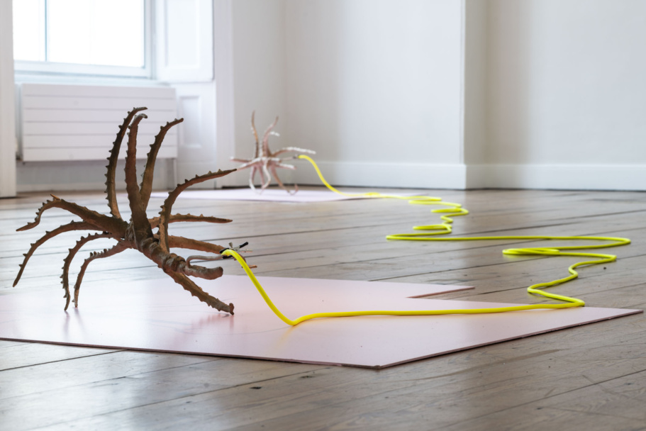 Cecilia Bullo Leigheas-Liminalis: antidotes for melancholic gestures. The Dock