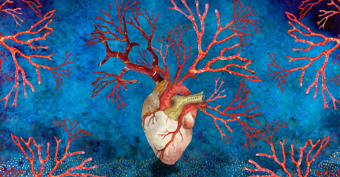 Deborah Kelly, <em>For Creation</em>, untitled still from collage animation, 2021.