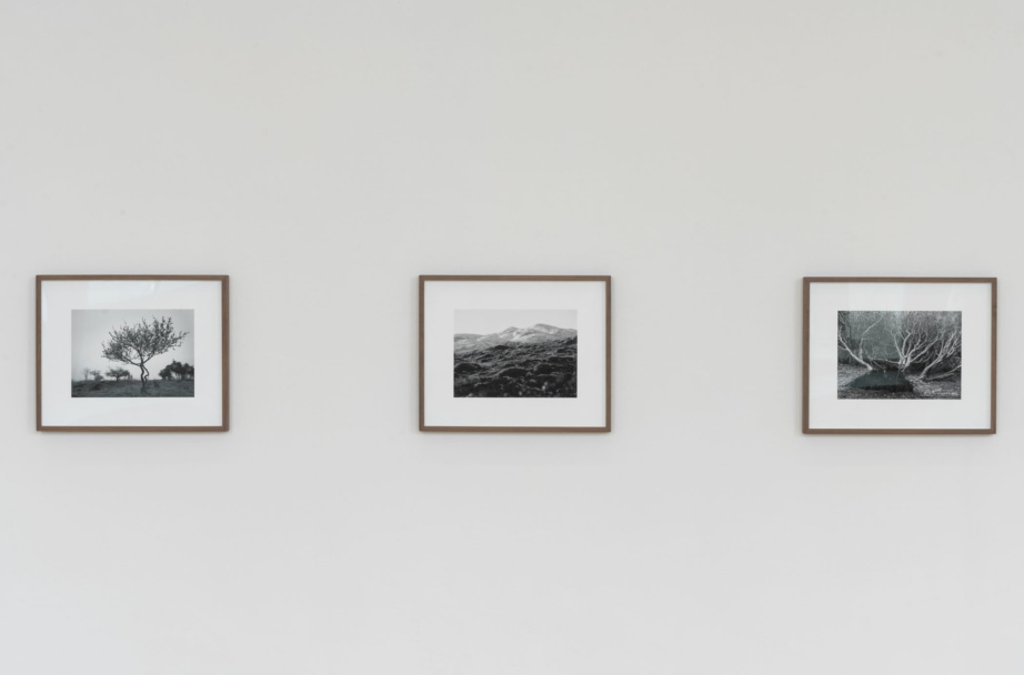 Made X NW From the series John's Field Tommy Weir