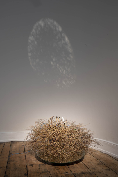 Ophthaluna – an apparatus of vision, Katherine Sankey, The Dock