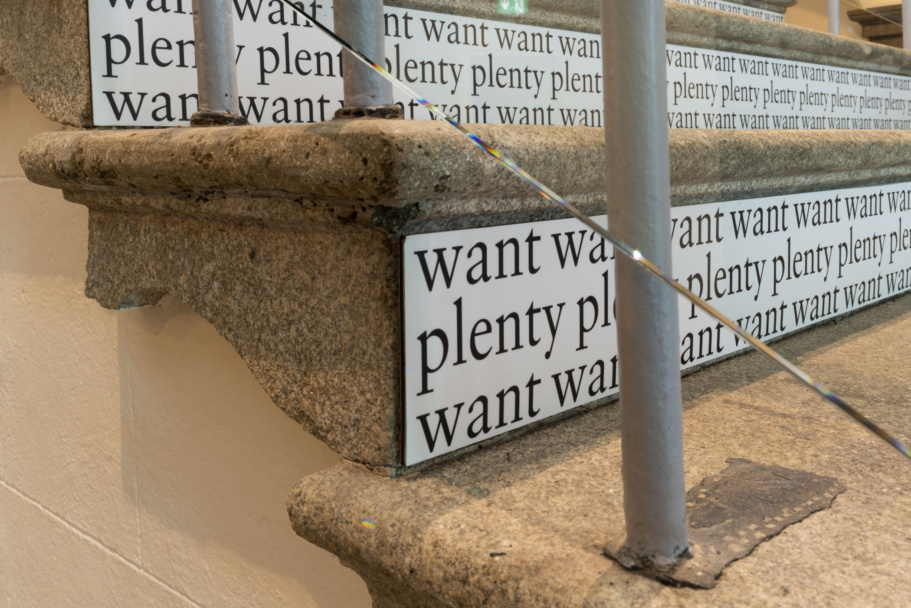 Want/Plenty, 2005, Alice Lyons
