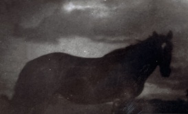 <p>Photograph displayed at a participating farm in County Fermanagh.</p>