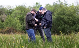 Artists Farm Walk Fermanagh531