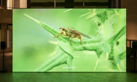 Deirdre O’Mahony, view of<em> The Quickening </em>at The Douglas Hyde Gallery, Dublin, 2024. Photo by Louis Haugh.