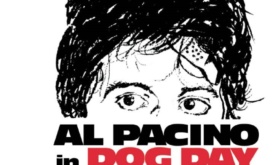 Summer at The Dock: Dog Day Afternoon