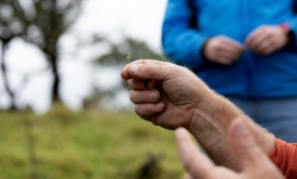 Photo by Brian Farrell.