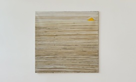 Patrick Hall website thumbnail