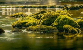 Leitrim, Ireland. Photo by Bhomick Attri.