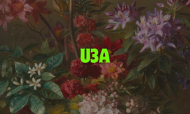 U3 A