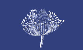 <p>Detail from the cover of the zine <i>Tír Breac / Speckled Land </i>by Anna Macleod, courtesy of the artist.</p>