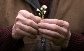 Farm Walks Open Call for Artists