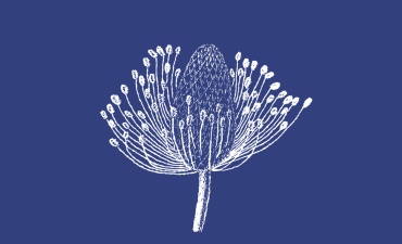 <p>Detail from the cover of the zine <i>Tír Breac / Speckled Land </i>by Anna Macleod, courtesy of the artist.</p>