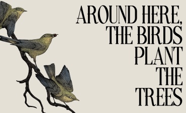 Around Here, the Birds Plant the Trees