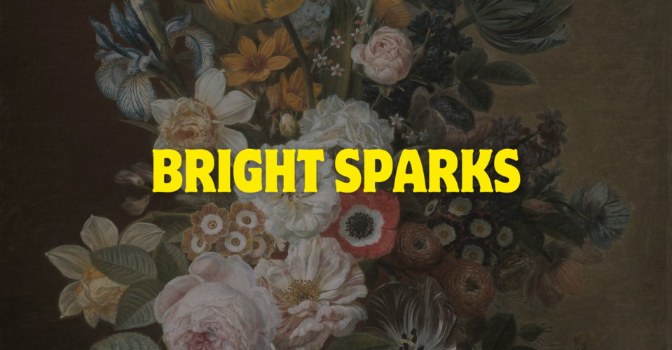 Bright Sparks