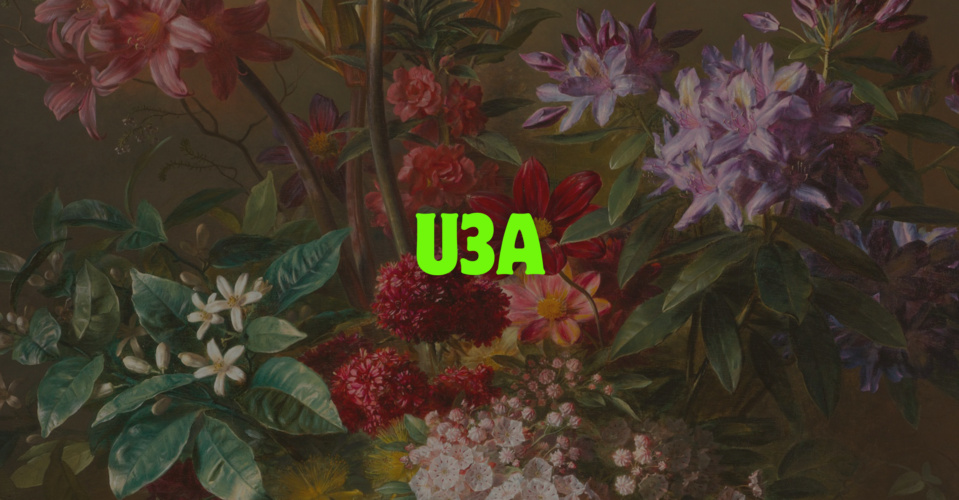U3 A