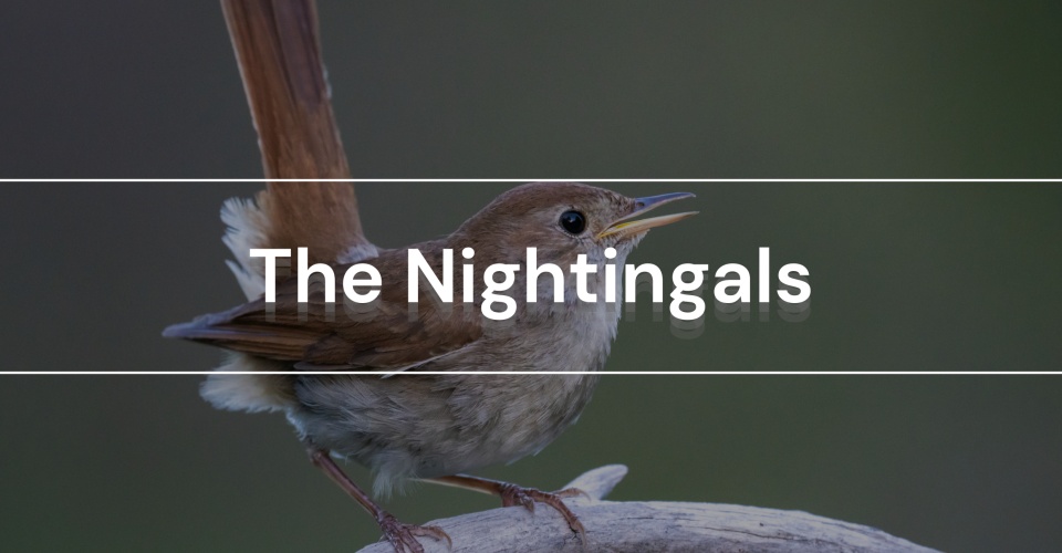 The Nightingals