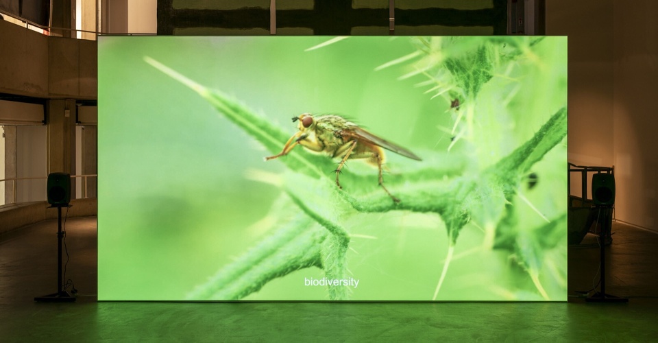 Deirdre O’Mahony, view of<em> The Quickening </em>at The Douglas Hyde Gallery, Dublin, 2024. Photo by Louis Haugh.