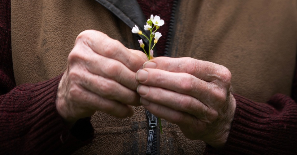 Farm Walks Open Call for Artists