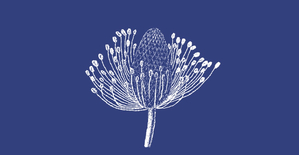 <p>Detail from the cover of the zine <i>Tír Breac / Speckled Land </i>by Anna Macleod, courtesy of the artist.</p>