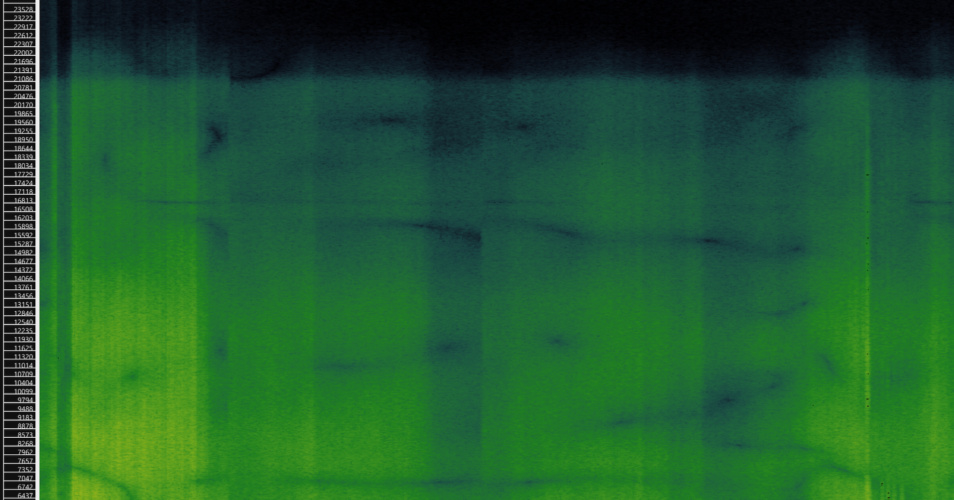 Sharon Phelan, spectrogram of a sonic fiction (research image), 2023.