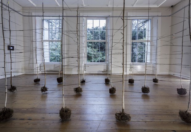 Anita Groener 29 620 430 90 c1