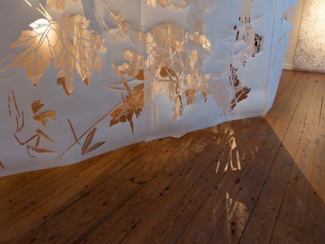 Maeve Clancy Take a Long Slow Look