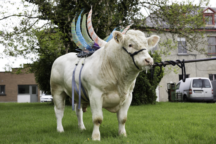 Marie McKinney, <em>Management/Polled, Doon just the job (CH2305)</em>, 2016.