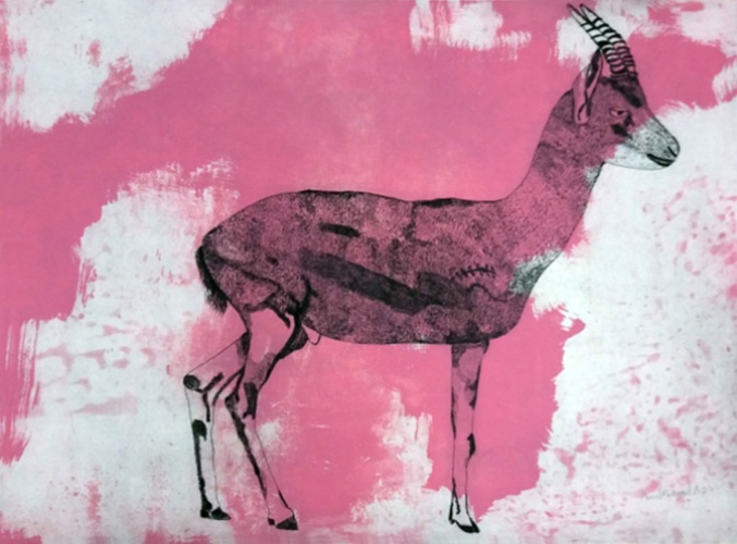 Manal Mahamid Palestinian Gazelle 1 2016 etching and aquatint 73 x 93cm Courtesy of the artist Web