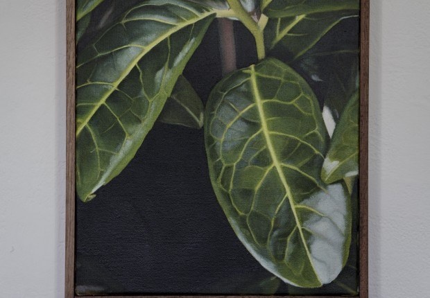 Marcel Videl 15 620 430 90 c1